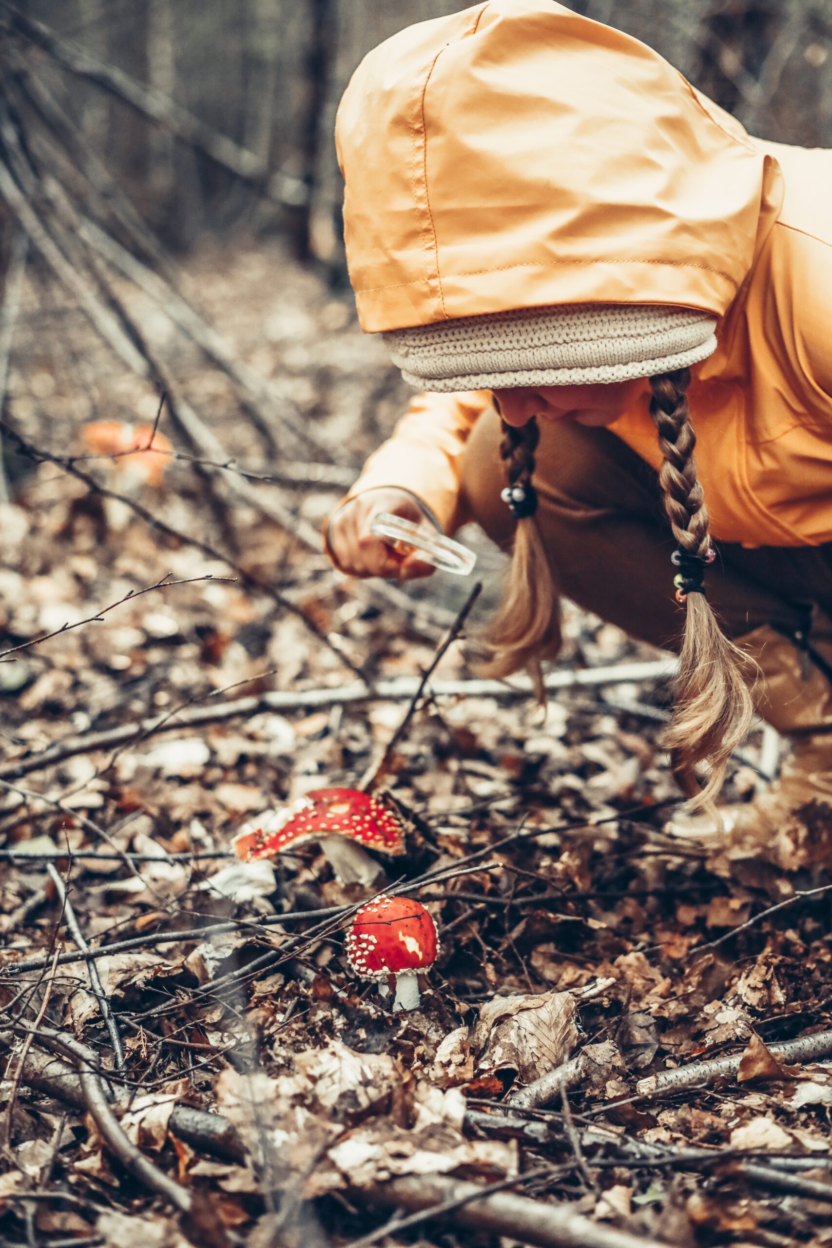 schoolgirl-examines-poisonous-mushrooms-through-a-2022-11-16-23-33-23-utc